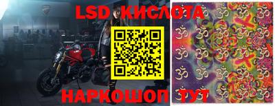 стафф Новодвинск