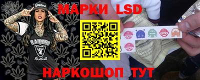 стафф Новодвинск