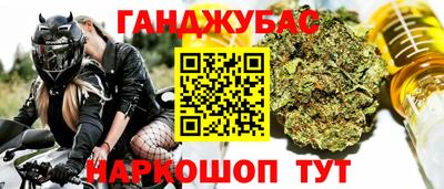 шишки Обь