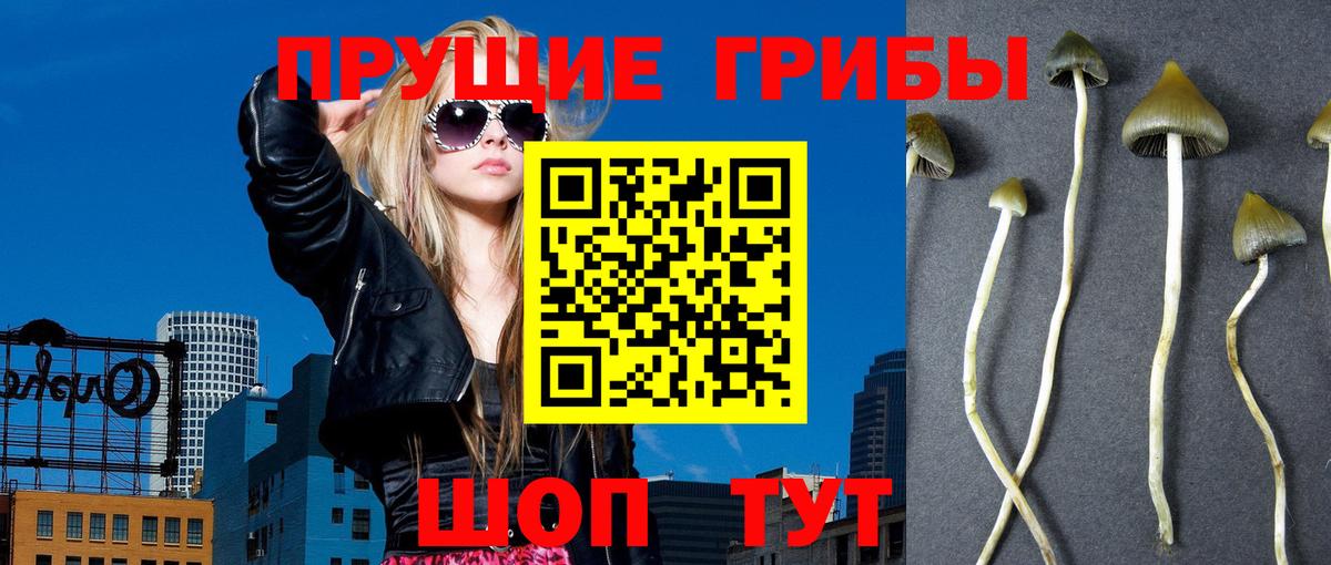 Галлюциногенные грибы GOLDEN TEACHER  Псилоцибиновые грибы GOLDEN TEACHER  Великие Луки  Вход с VPN 