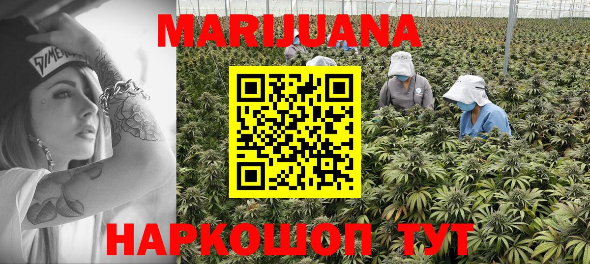 Канабис OG Kush Великие Луки